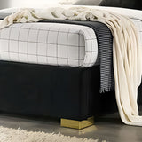 Phoenix Black Upholstered Bed Frame